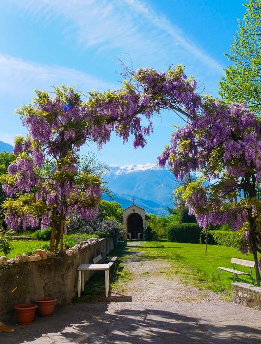 Cittadini e imprese uniti nella comunità energetica per sostenibilità e risparmio